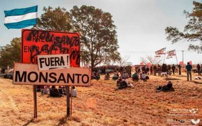 Un mes de bloqueo a Monsanto