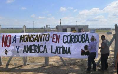El freno a Monsanto cumple un año