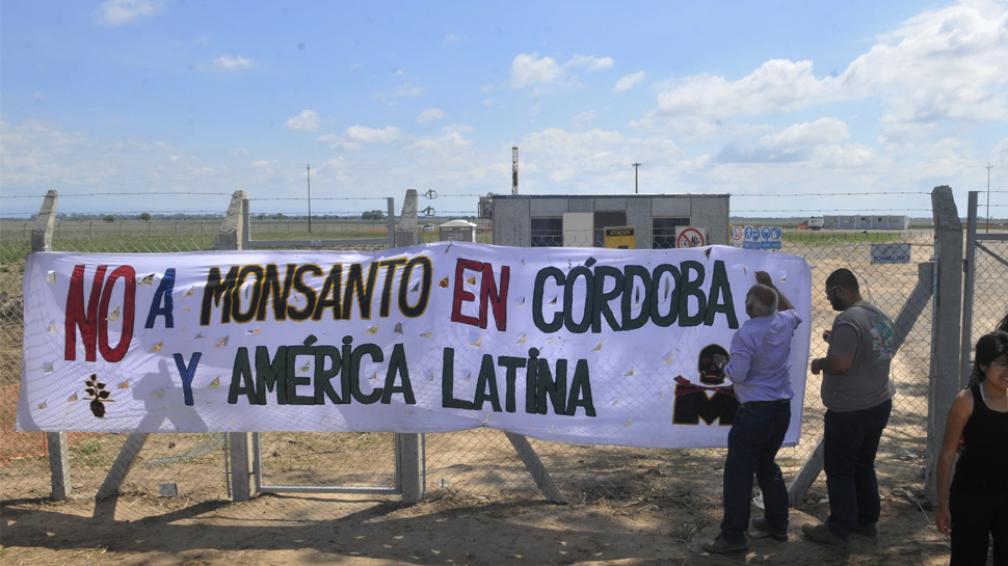 El freno a Monsanto cumple un año